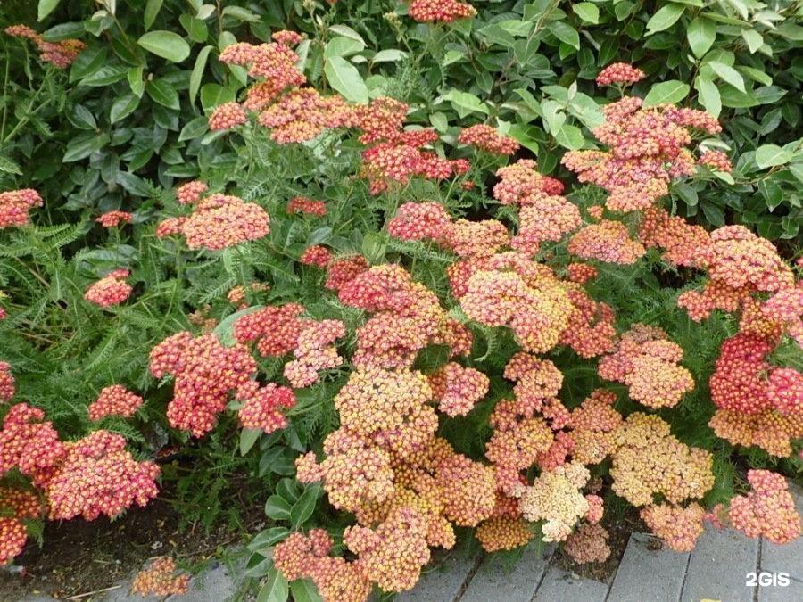 Городское похоронное бюро