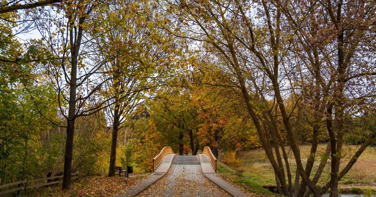 Idyllic autumn scene with a cobblestone path and bridge surrounded by colorful foliage in Uckermark Park.