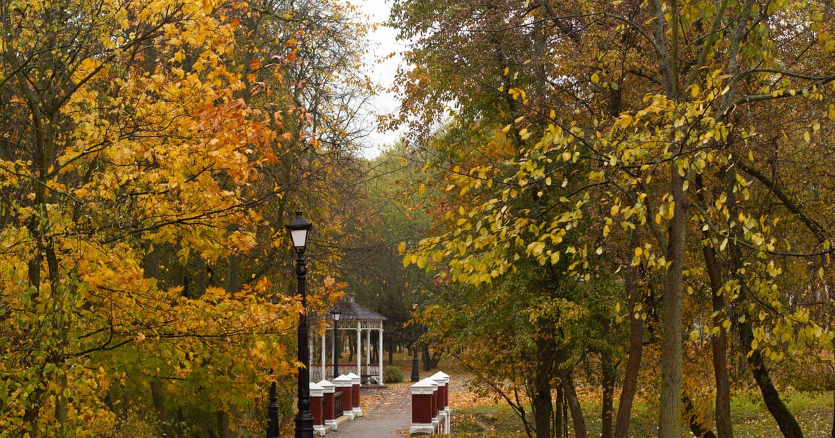 Empty asphalt walkway located in park leading to common pavilion past flashlight and columns surrounded by leaf litter in autumn day