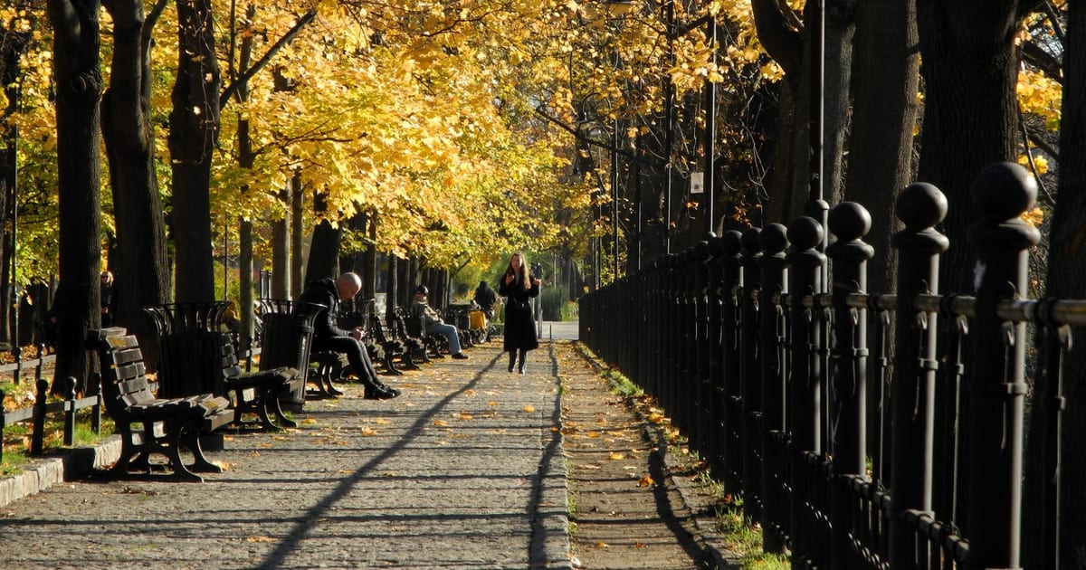 A sunlit park pathway in autumn with golden foliage and a solitary walker.