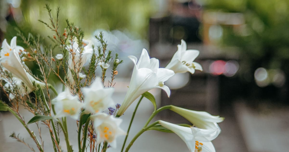 Beautiful white lilies with greenery in a soft outdoor background, perfect for serene and natural aesthetics.