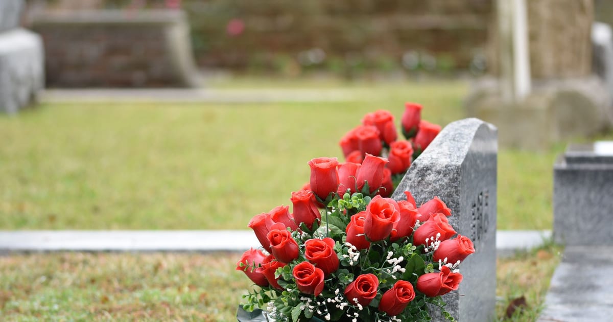 Beautiful red roses placed on a tombstone, symbolizing love and remembrance in a cemetery setting.