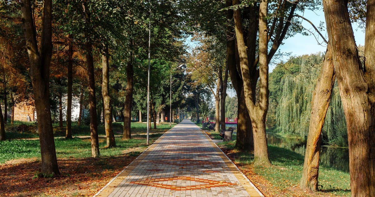 A peaceful park pathway lined with trees, featuring vibrant autumn leaves and a clean stone path.